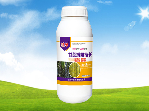 甘蔗增粗拉長